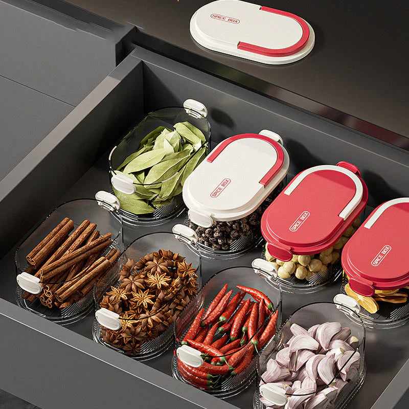 🔥Multi-layer Sealed Spice Organizer